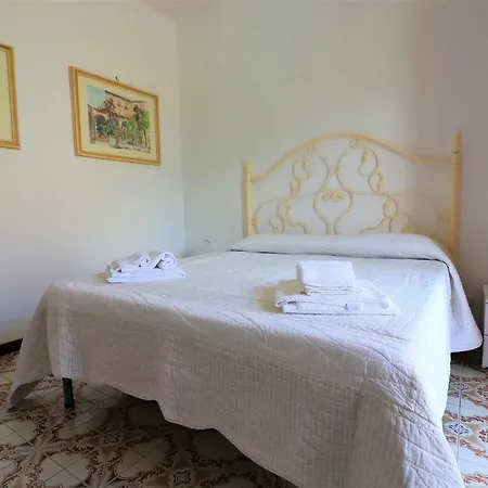 Cocumella 10